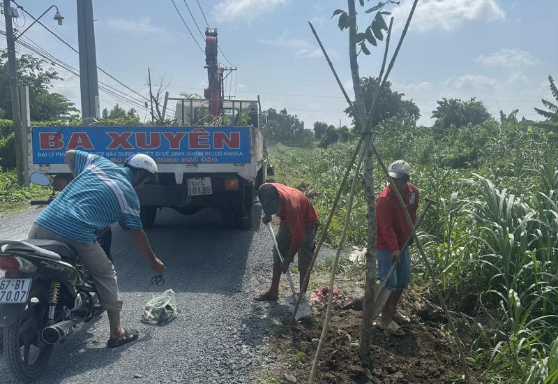 Cây xanh được trồng dọc tuyến đường Kênh Đào phường Mỹ Phước